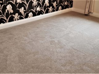 Invictus Perseus Carpet Carpet