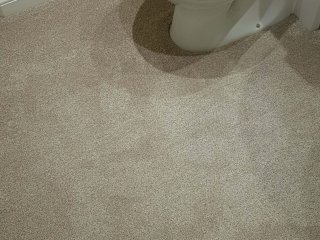 Invictus Perseus Carpet Carpet