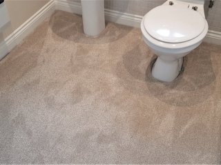 2018-07-29-13.08.44-1-1024×498 Carpet