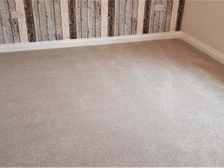 Invictus Perseus Carpet Carpet