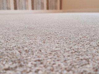 Invictus Perseus Carpet Carpet