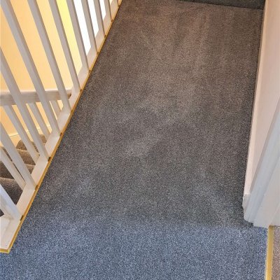 Ideal Carpets - Wessex Twist Elite